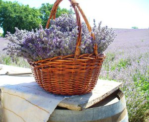 Lavender gift boxes and more